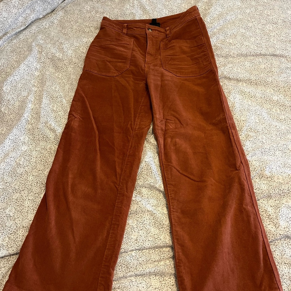Rust Corduroy Patagonia wide leg Pants